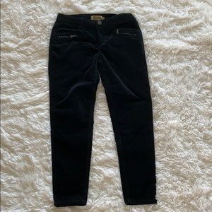 black velvet jeans